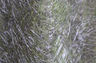 Boltonfellend fibreglass roof work